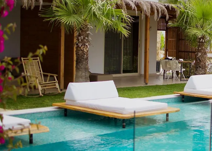 Sanimar By Mono Alex