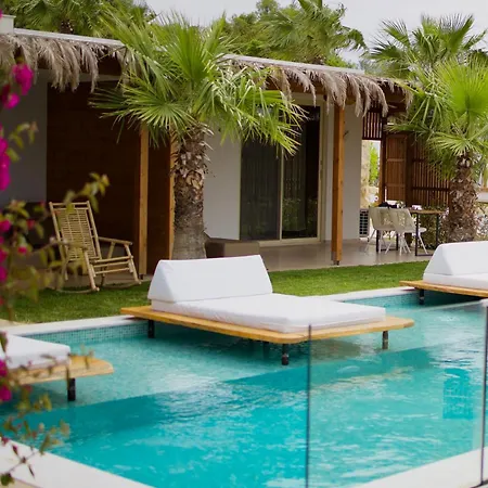 Sanimar By Mono Alex